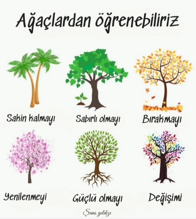 "Ne ekersen onu biçersin." ~Hz. Mevlana