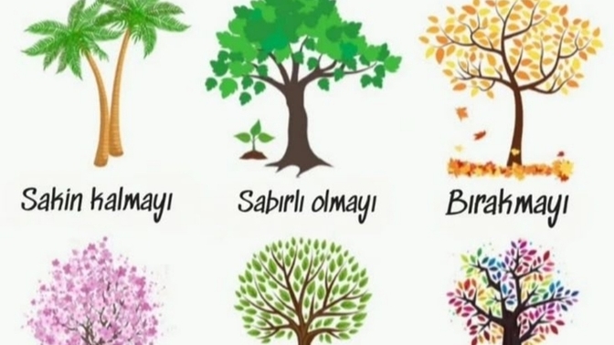 Negatif duygularını iyileşmek ister misin?