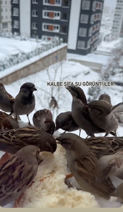 Hafta sonu planınız ne?