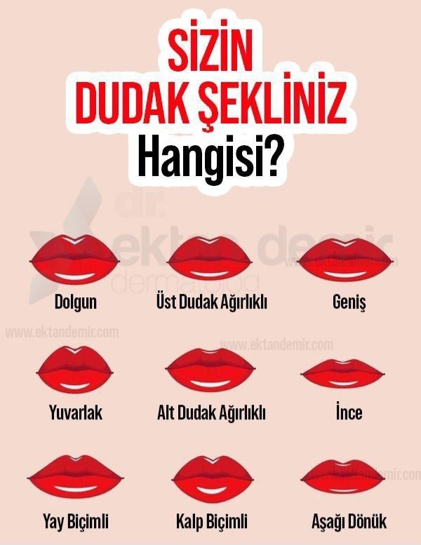 Sizin dudak şekliniz nasıl?