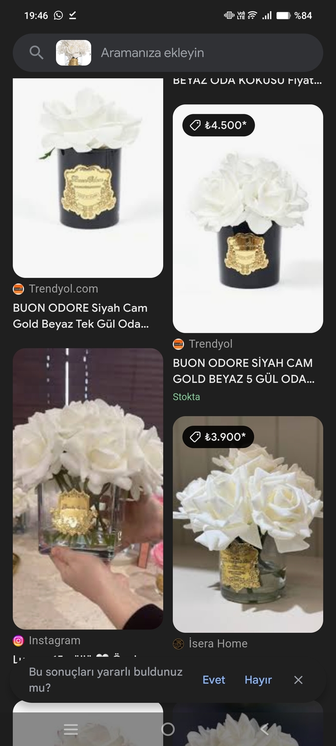 Bu çiçeğin fiyatı 7.500 siz bu paraya bunu alırmısınız?