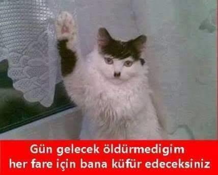 İsmi Lenin mi olsun, milton mu))?