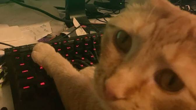 Saatlerce başından kalkmadığınız o oyun hangisiydi?