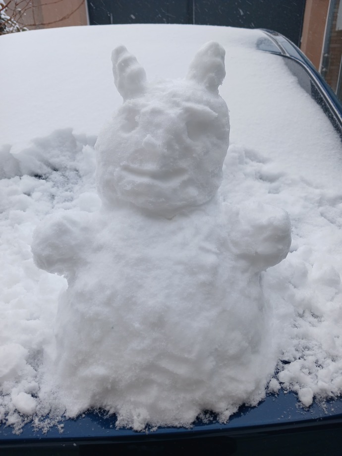 Kardan adam yaptım.☃️ Nasıl olmuş?