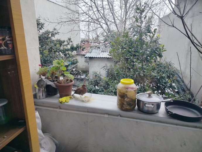 Misafir umduğunu mu, bulduğunu mu yer?