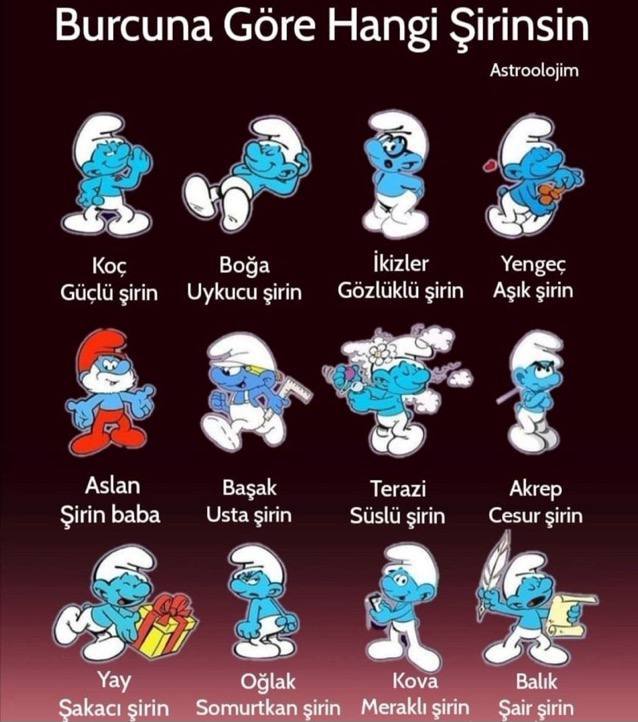 Burcuna göre hangi şirinsin?