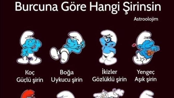 Burcuna göre hangi şirinsin?