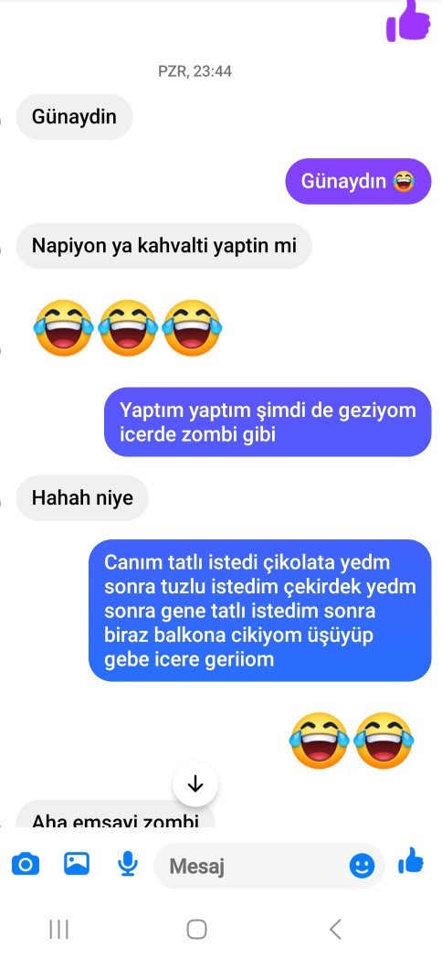 Niye böyle yaptı yaa sohbete devam etmicekti madem ?