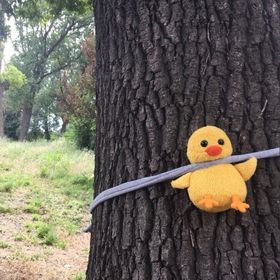 Neye olan aşkınız asla bitmez?