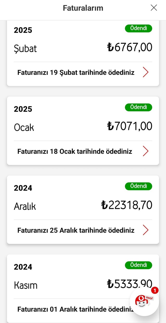 Telefon faturanıza ayda ne kadar verıyorsunuz?