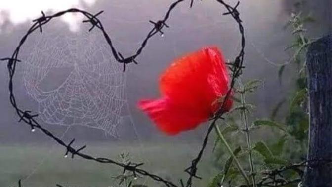 "Aşk yok olmaktır" diyor biri katılıyor musunuz?