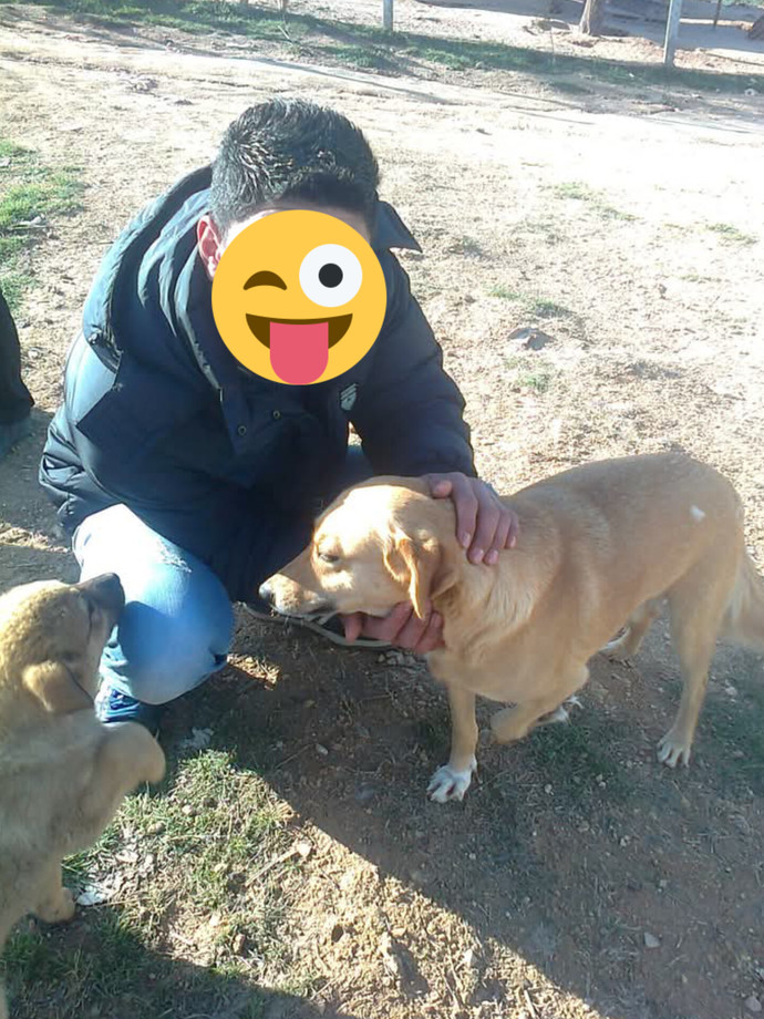Eski halinizi özlüyor musunuz?