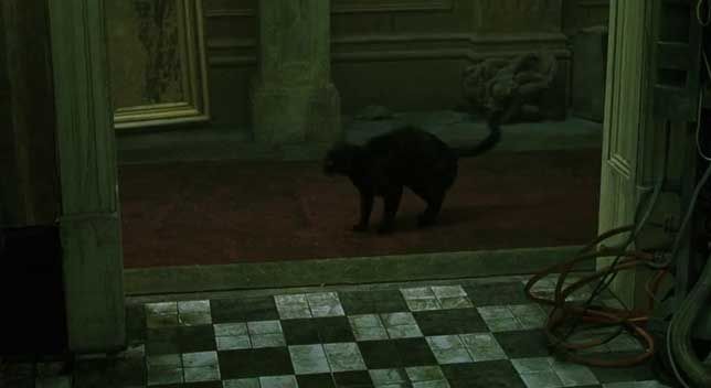 Matrix