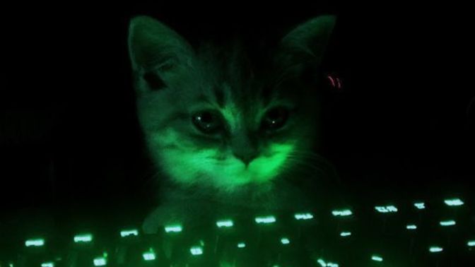 Oynadığınız oyunlardan gelir elde ediyor musunuz?