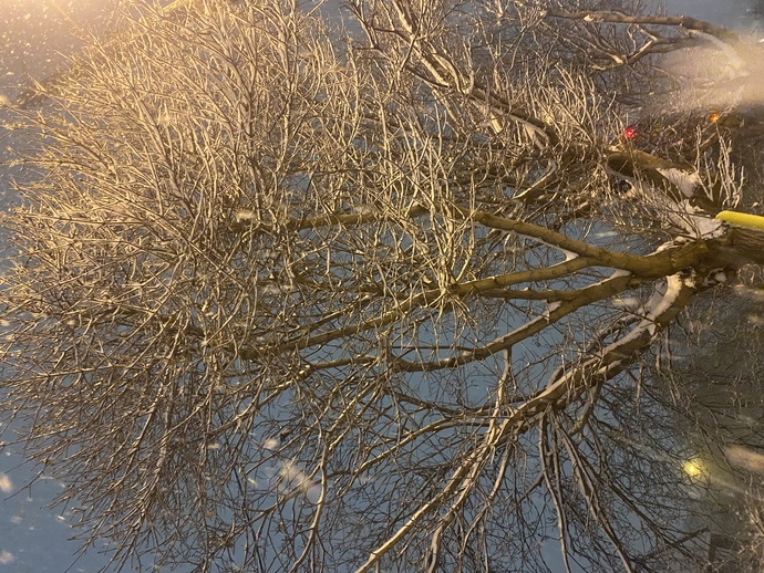 Kar görmeye doydunuz mu?