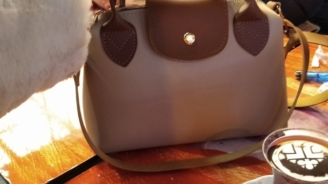 Sizce ben bu çantayı kaça almışımdır?