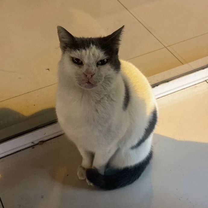 Çözüm odaklı bir insan mısınız?