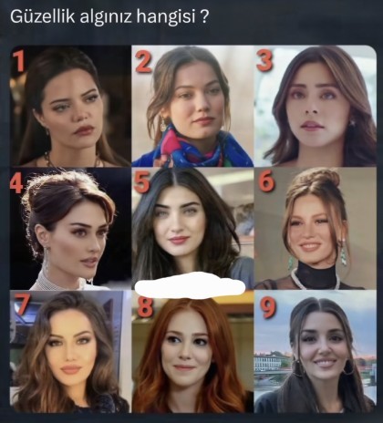 Sizin Güzellik algınız hangisi?