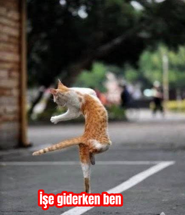 Bende durum bu
