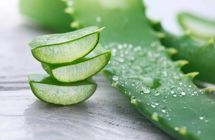 Aloe vera sivilcelere gerçekten iyi geliyor mu, yoksa tamamen bir efsane mi?