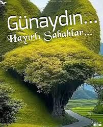 Bir gönülde iki sevda olur mu?
