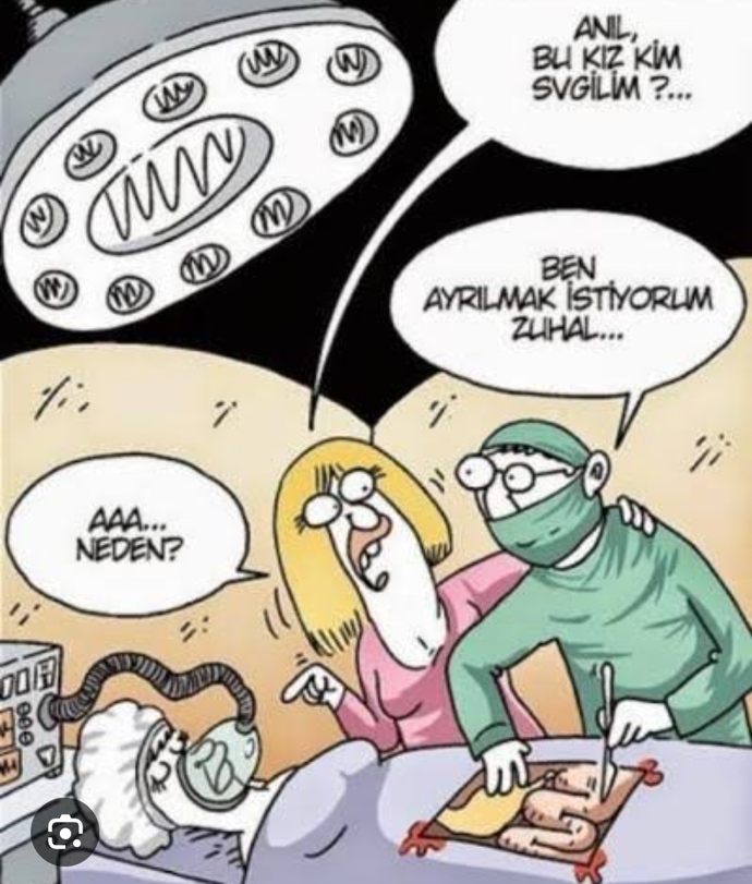 Sevdiğiniz kişi tarafından kıskanılmak nasıldır? Bu eylem kadınların çok hoşuna giderken ya erkekler🤔Kıskanılmayı sever misiniz?