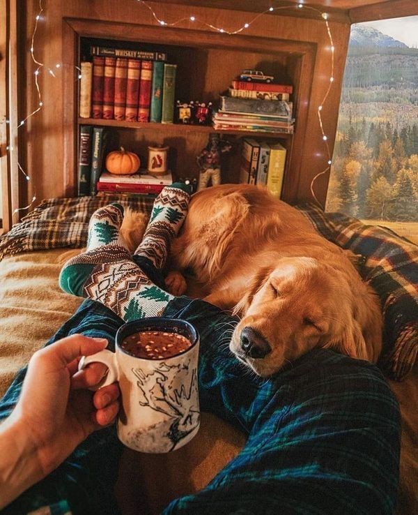 İnsanlarla olmak yerine hayvanla dost olur musun?