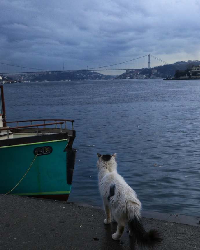 Ne olursa olsun seni unutacağım diyecek kadar sevdiniz mi?