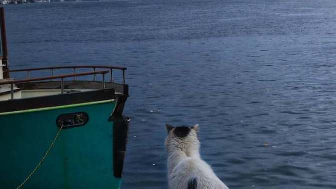 "Ne olursa olsun seni unutacağım" diyecek kadar sevdiniz mi?