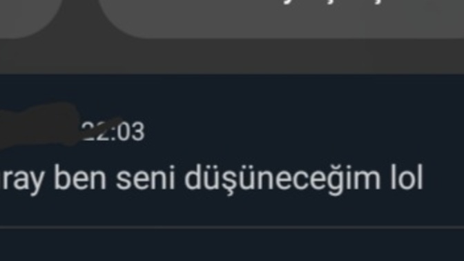 Amerikalı Kız Türkçeyi Güzel Öğrenmiş Mi?