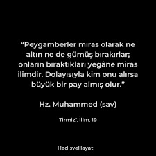 Örnek aldığınız bir rol model veya ulaşmak istediğiniz en uç hedef nedir?