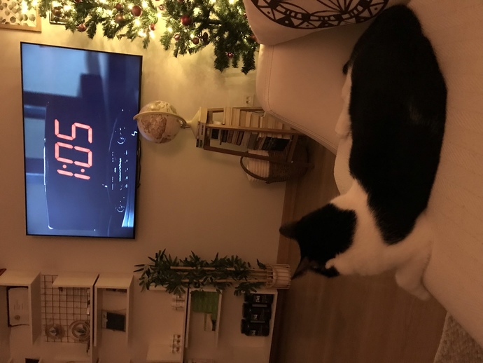 Korku filmi önerisi verir misiniz?