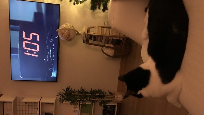 Korku filmi önerisi verir misiniz?