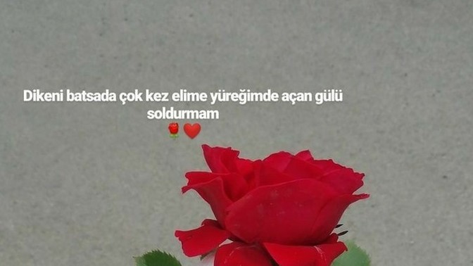 Neden kimse kimseyi kendinden iyi konumda istemiyor?