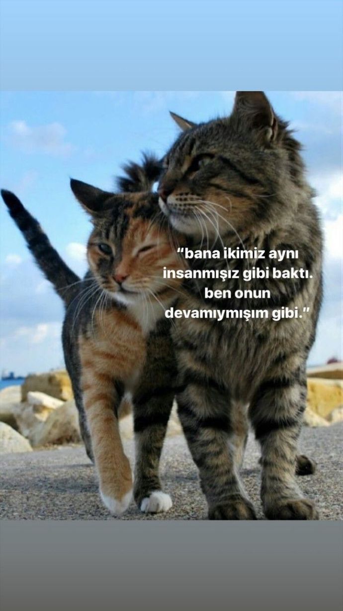Aşkın yaşı yoktur diyenlerden misin?