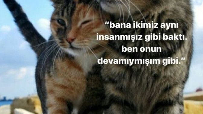 Aşkın yaşı yoktur diyenlerden misin?