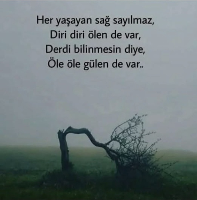 Çevrenizde böyle olanlar var mı?