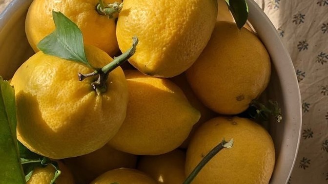 Limonu nasıl yiyorsunuz?