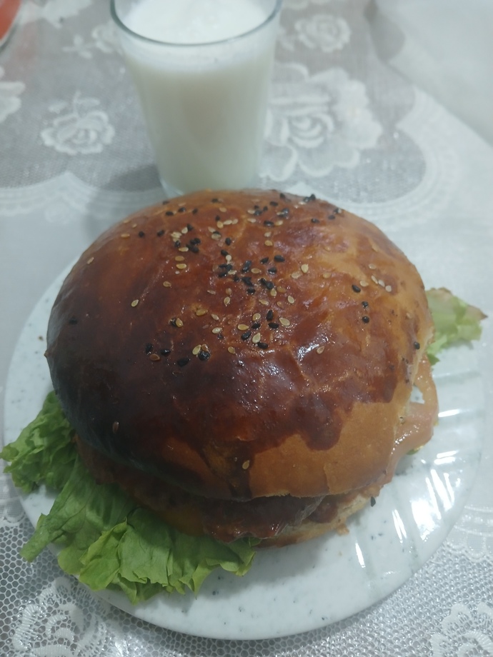 Hamburger sever misiniz?