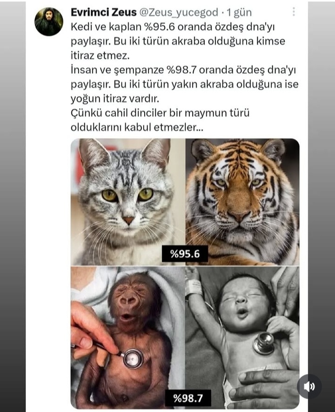 Sürekli dini ve ölümü sorguluyorum. Ne yapmalıyım?