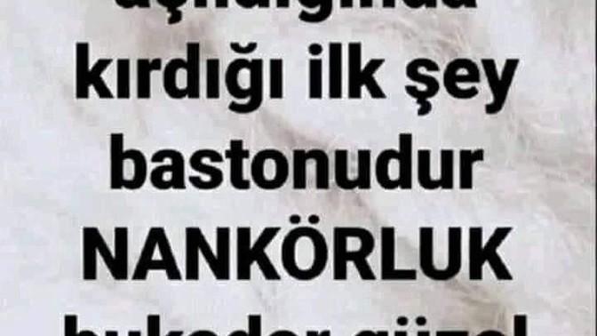 Tanıdık akrama kardeş kazığı yemek size ne hissettirir?