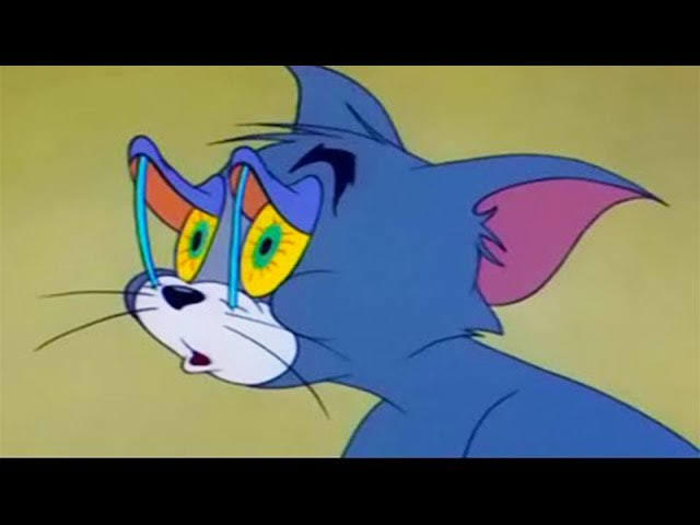 Uyumadan önce yaptığınız son şey nedir?