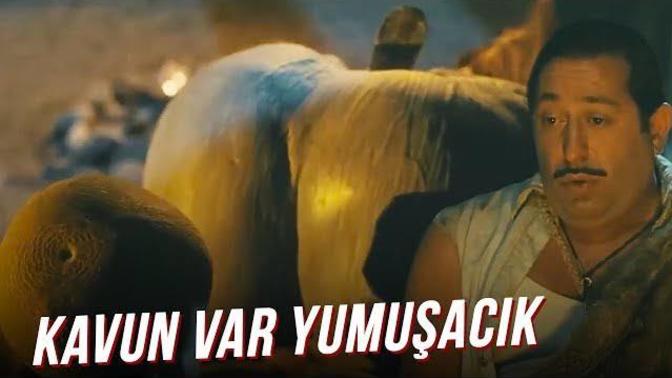 Genellikle gece yarısından sonra başlayan cinsel hiperaktivitenin sebebi nedir?