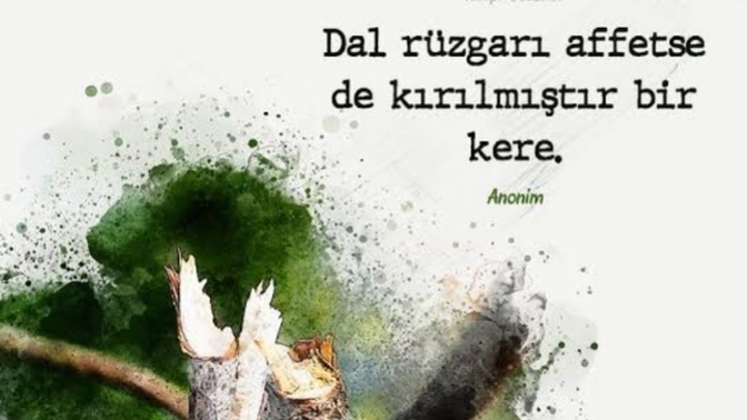 Kolay kırılır mısınız? Peki ya affederken?