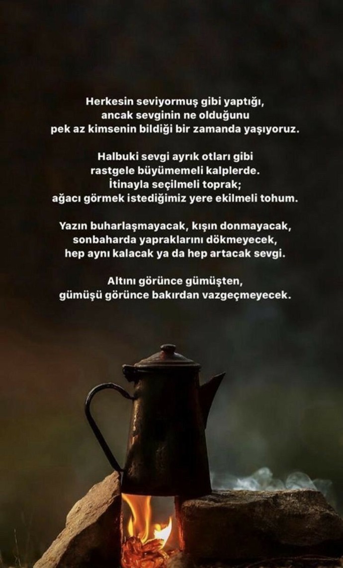 Hiç seviyor (muş) gibi yaptınmı?