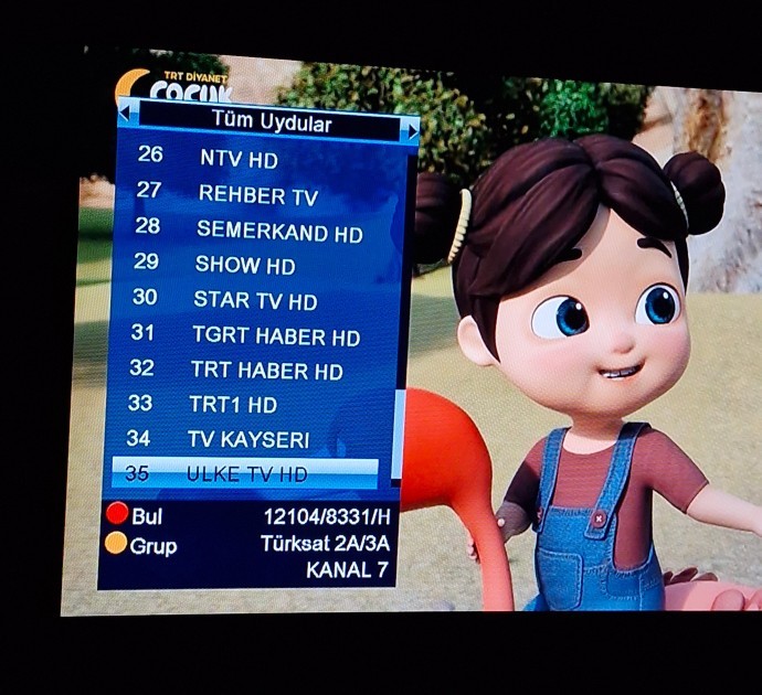 Televizyonunuz da toplam kaç kanal mevcut?
