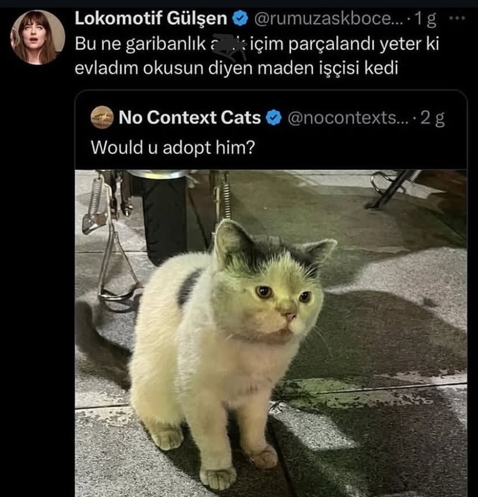 Kedilerin olmadığı bir masa var mı?