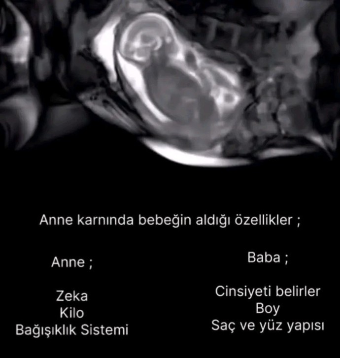 Anneden babadan ne özellik aldın?