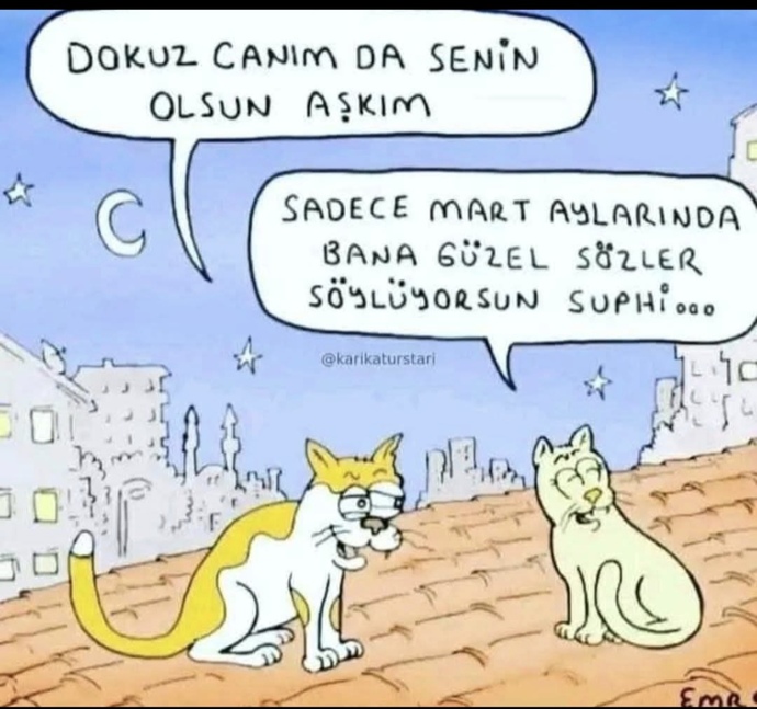 Sevgilinize/eşinize sevgi sözcüklerini sık kullanırmınız?