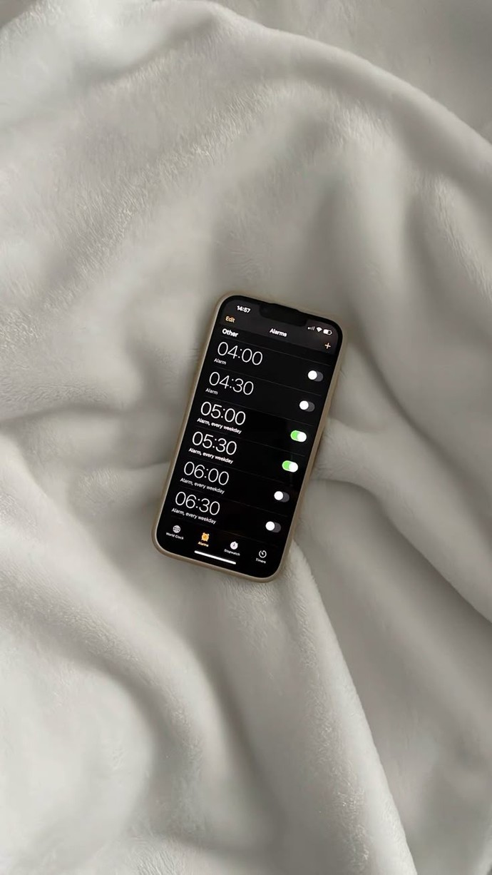 Arayarak alarm görevi gören erkekten olur mu?